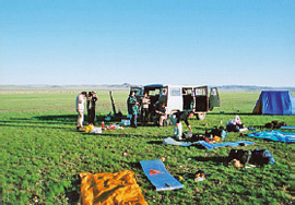 Field work in Mongol