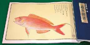 Gen'ichiro Narasaka's Chugyo-Zufu, re-edited by The Nagoya University Museum