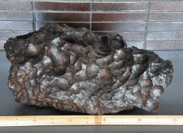 Gibeon meteorite